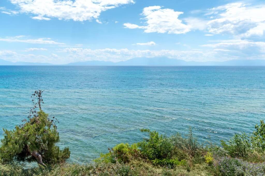 Villa Endless Sea View House à Nea Irakleia Extérieur photo